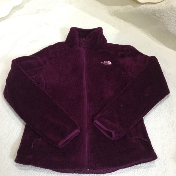 🥳Host Pick🥳 GUC The North Face Osito jacket - Picture 1 of 8